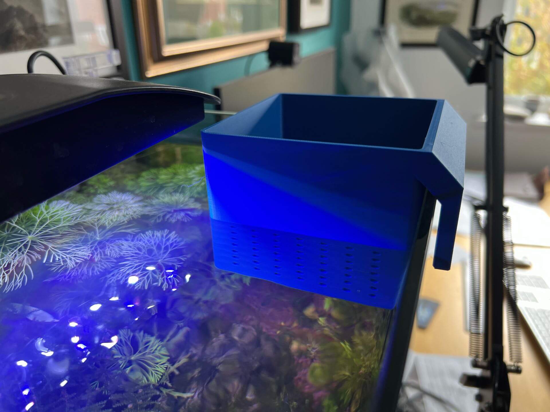 Troca de água com aquário