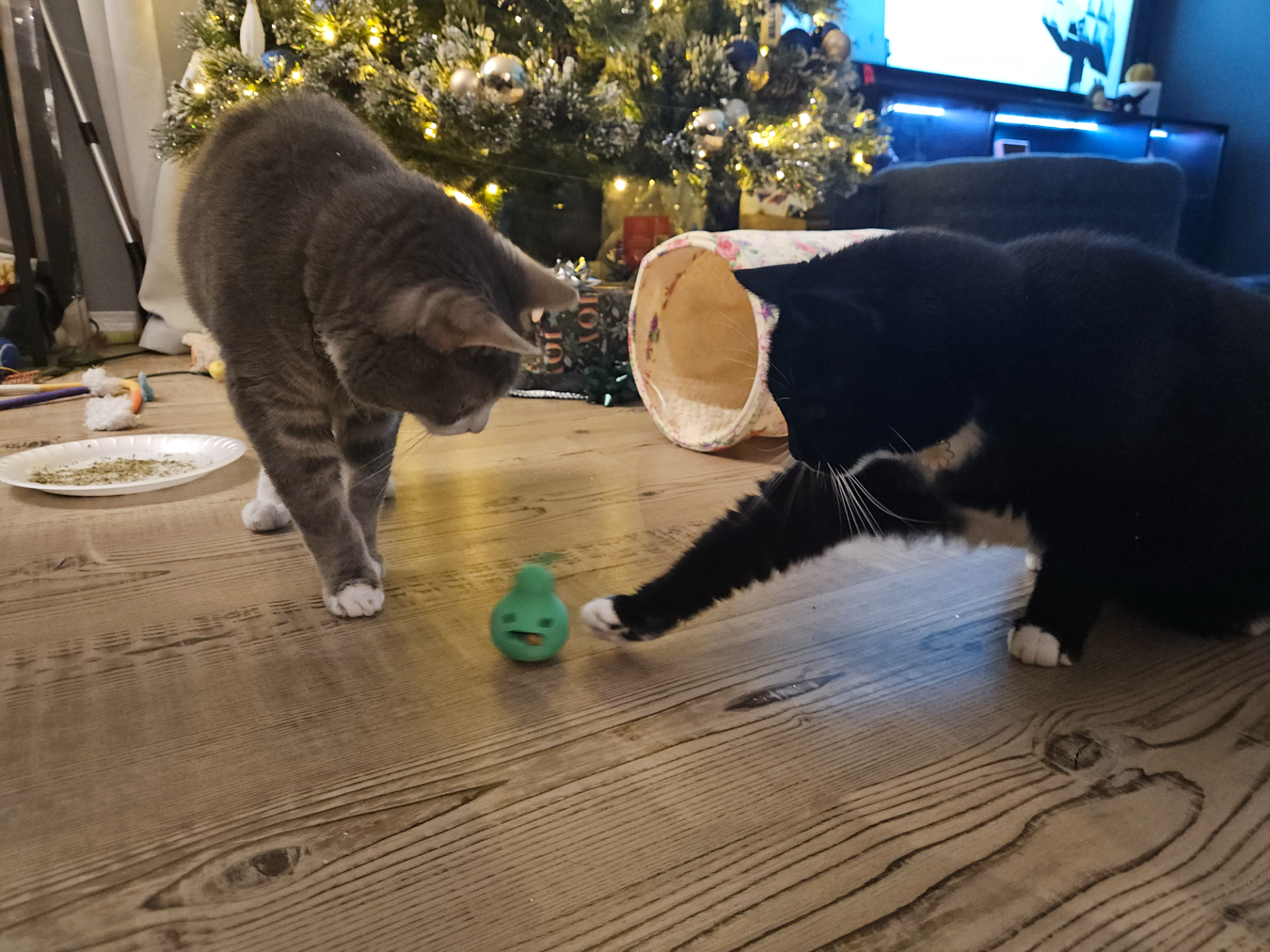 Brinquedo Berinjela Brinca